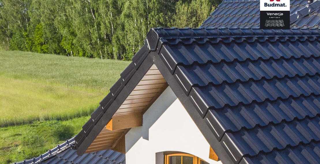 Заглушка торцевая ZP-LUX для конька GS-LUX